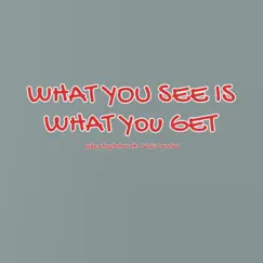 What You See Is What You Get (feat. Chris Combs) - Single by Luke Stapleton album reviews, ratings, credits