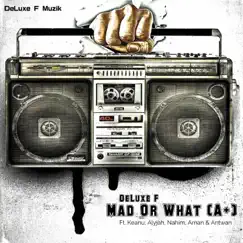 Mad Or What (A+) - Single by DeLuxe F album reviews, ratings, credits