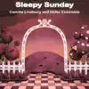 Sleepy Sunday (Piano and Strings) - Single album lyrics, reviews, download