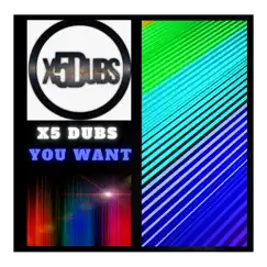 You Want - Single by X5 Dubs album reviews, ratings, credits