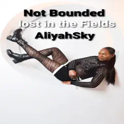 Not Bounded Lost in the Fields Song Lyrics