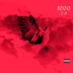 1000 (feat. Rizk & Odd One Out) Song Lyrics