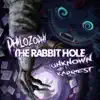 The Rabbit Hole - Single album lyrics, reviews, download
