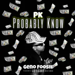 PK (Official Audio) - Single by Geno Foosii album reviews, ratings, credits