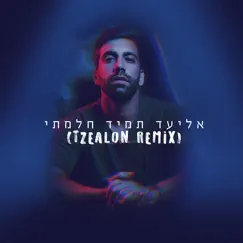 תמיד חלמתי (Tzealon Remix) Song Lyrics