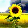 Sunshine and Flowers - Single album lyrics, reviews, download