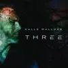 THREE (Radio Version) - Single album lyrics, reviews, download