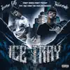 Icetray song lyrics