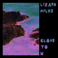 Close To U - EP by Lizard milke album reviews, ratings, credits