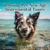 Relaxing Pet New Age Instrumental Tunes (Ocean Waves Sounds) album lyrics, reviews, download
