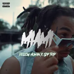 Miami (feat. SDP Trip) - Single by Fellow Human album reviews, ratings, credits