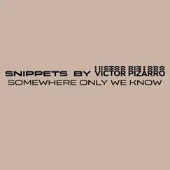 Somewhere Only We Know - Single by Snippets by Victor Pizarro album reviews, ratings, credits