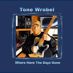Where Have the Days Gone - Single by Tone Wrobel album reviews, ratings, credits