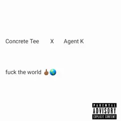F**K the WORLD (feat. Agent K) - Single by Concrete Tee album reviews, ratings, credits