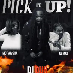 Pick It Up - Single by DJ Dub album reviews, ratings, credits
