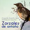 Zorzales de Antaño - Orquesta Rodolfo Biagi - Sentimiento Gaucho album lyrics, reviews, download