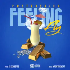 Feeling Fly - Single by Fwet Boy Rico album reviews, ratings, credits