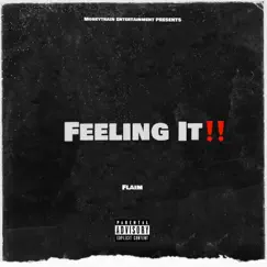 Feeling It - Single by Flaim album reviews, ratings, credits