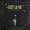 C'est la vie - Single album lyrics, reviews, download