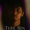Tere Bin - Single album lyrics, reviews, download