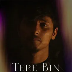 Tere Bin - Single by Rishiii & Rishi album reviews, ratings, credits