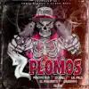2 PLOMOS (feat. Dlion, Zoniel, Gabinho507, Lil'Pilo & El Magnate) - Single album lyrics, reviews, download