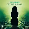 Cry me a river - Single album lyrics, reviews, download