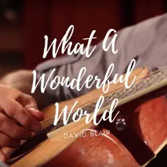 What a Wonderful World - Single by David Blair album reviews, ratings, credits