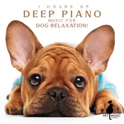 1 Hours of Deep Piano Music for Dog Relaxation! by Pet Music Academy album reviews, ratings, credits