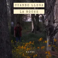Cuando Llega la Noche - Single by MANNY album reviews, ratings, credits