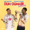 Dum and Dummer album lyrics, reviews, download