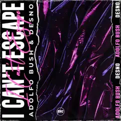 I Can't Escape - Single by Adolfo Bush & Desno album reviews, ratings, credits