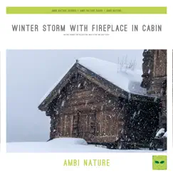 Winter Storm with Fireplace in Cabin (Nature Sounds for Relaxation, Meditation and Deep Sleep) by Ambi Nature Sounds, Ambi Nature Radio & Ambi Nature album reviews, ratings, credits