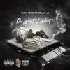 Do What I Want (feat. Yung $em0) - Single album lyrics, reviews, download