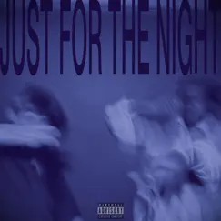 JUST FOR THE NIGHT Song Lyrics