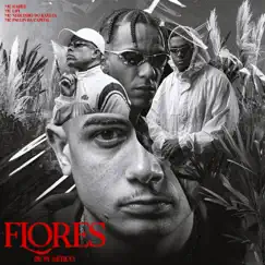 Flores de Plástico (feat. MC Paulin da Capital) - Single by Mc Hariel, Mc Lipi & MC Neguinho do Kaxeta album reviews, ratings, credits