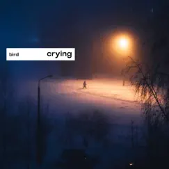 Crying Song Lyrics