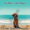 Wellness for Dogs: The Relaxation Spa Treatment (Ocean Waves Sounds) album lyrics, reviews, download
