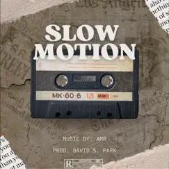 Slow Motion - Single by AMR2x album reviews, ratings, credits