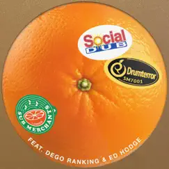Social Dub (feat. Dego Ranking & Ed Hodge) - Single by Drumterror album reviews, ratings, credits