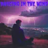Dancing In the Wind - Single album lyrics, reviews, download