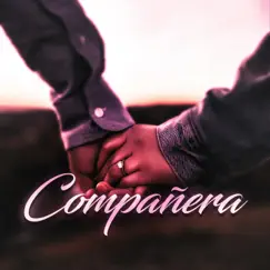 Compañera (feat. Donna Music) Song Lyrics