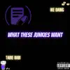What These Junkies Want (feat. Tabie Babi) - Single album lyrics, reviews, download