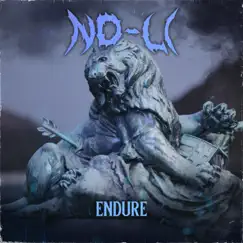 Endure - Single by NO-Li album reviews, ratings, credits