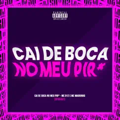 Cai de Boca no Meu Pir* (feat. MC D12 & Mc Magrinho) Song Lyrics