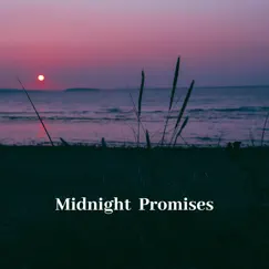 Midnight Promises by Shawn Ryan album reviews, ratings, credits