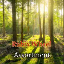 Assortment by Rubix Wheel album reviews, ratings, credits