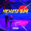 Nkhata bay (feat. Stati, Nashe & Icerp) - Single album lyrics, reviews, download