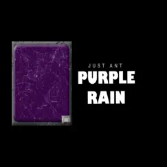 Purple Rain - Single by Just Ant album reviews, ratings, credits