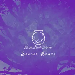 Sacred Grove (feat. Minna Tuusa) - Single by Electric Snow Orchestra album reviews, ratings, credits